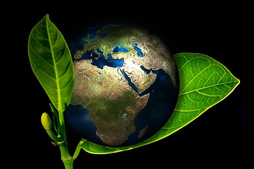 Usos y costumbres pueden ayudar a la conservación del medio ambiente -  Asociación de Consumidores Orgánicos